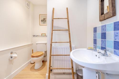 a bathroom with a ladder next to a toilet and a sink at The Holt Barn in Tong