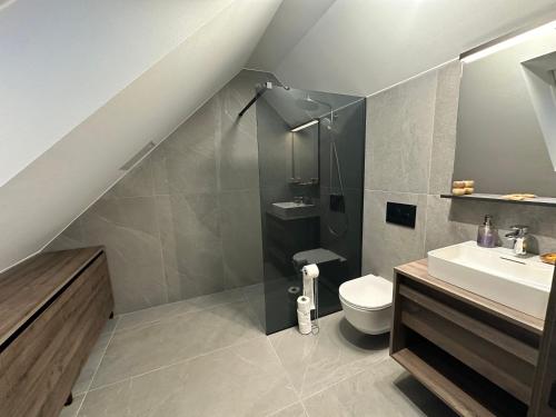 a bathroom with a shower and a toilet and a sink at 4 Elements Glamping & Apartments in Bled