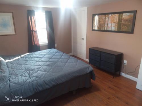 a bedroom with a bed and a dresser and a window at Large downtown home in Philipsburg