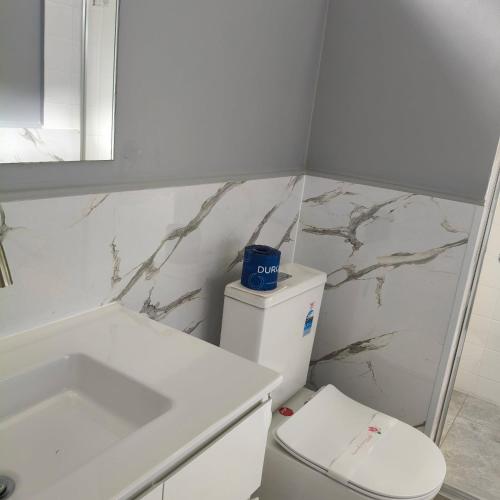 a white bathroom with a toilet and a sink at Wangaratta Motor Inn in Wangaratta