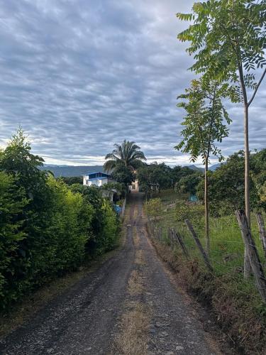 a dirt road with trees on the side of it at Amanecer Entre Montañas in Las Granjas