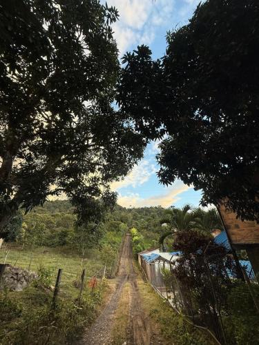 a dirt road with trees and a train on it at Amanecer Entre Montañas in Las Granjas