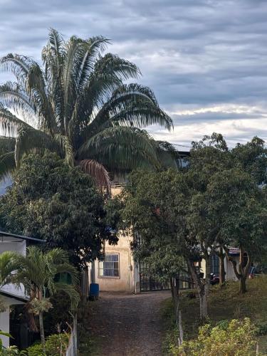 a palm tree in front of a house at Amanecer Entre Montañas in Las Granjas