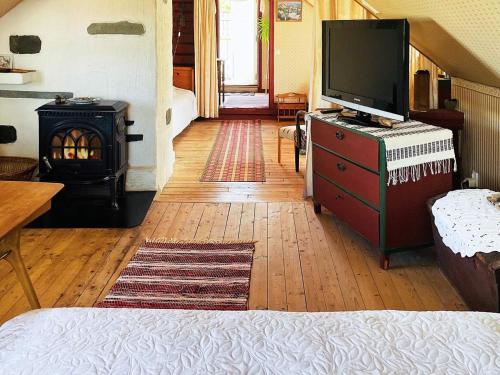 a living room with a television and a fireplace at 4 person holiday home in Rönnäng-By Traum in Rönnäng