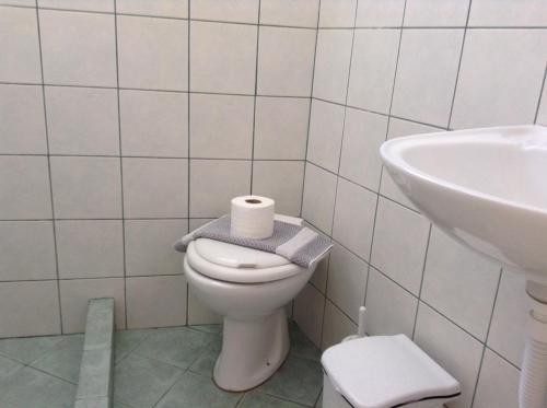 a bathroom with a toilet and a sink at Arian Hotel in Parikia