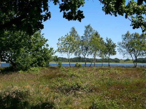 a field of grass with trees and a body of water at 8 person holiday home in Højslev-By Traum in Sundstrup