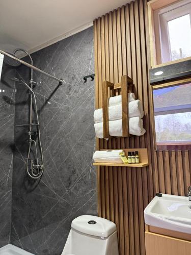 a bathroom with a shower and a toilet and a sink at Refugio lliu lliu, eco suite in Huiscapi