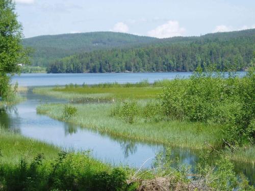 a view of a lake with grass and trees at 5 person holiday home in ARVIKA-By Traum in Arvika