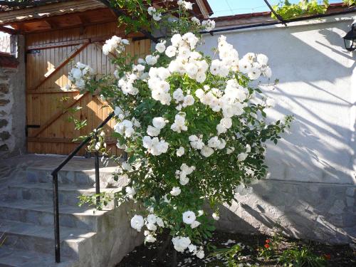 a bouquet of white flowers in front of a building at Guesthouse Argacho in Stob