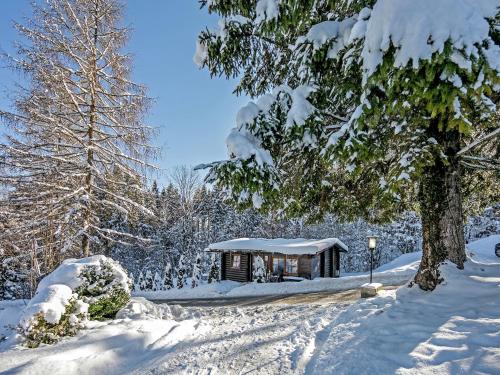 a wooden cabin in the snow with snow covered trees at Chalet in Wörgl near Ski Lift in Hopfgarten im Brixental
