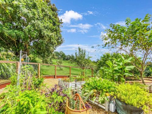 a garden with a bunch of plants and trees at Luxurious Mountain Retreat near Maleny in Booroobin