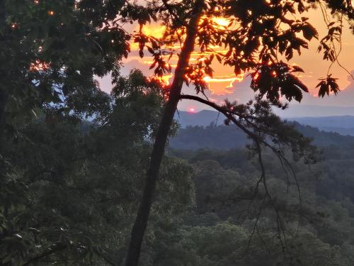 Smoky's View photo 8