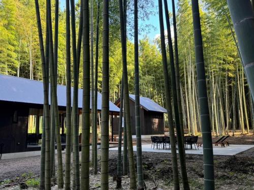 a cabin in the middle of a forest with trees at and FOREST Katsuura Take no Hanare - Vacation STAY 91561v in Katsuura