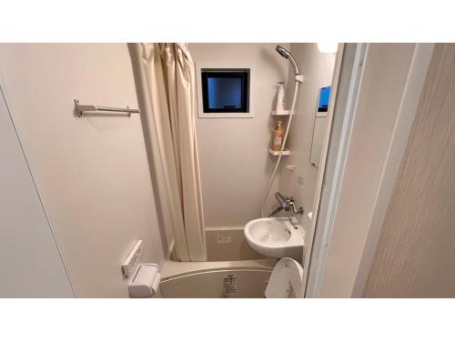 金山にあるCamp & Logde Luana Park Sshirahama - Vacation STAY 99906vの小さなバスルーム(シャワー、シンク付)