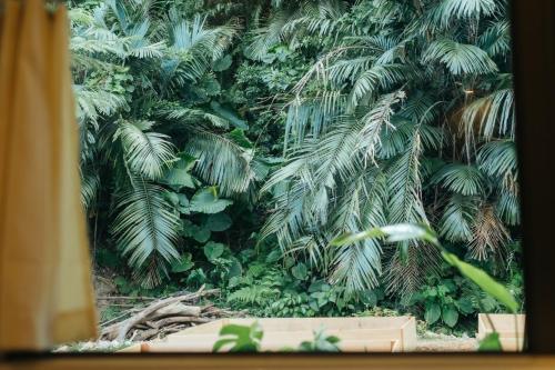 a view of a lush green forest from a window at MANANI - Vacation STAY 16612v in Nago