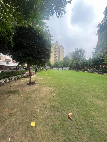 a park with a tree in the middle of a field at Perfect Apartment Stay in Gurgaon