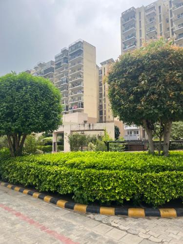 two trees and bushes in front of some buildings at Perfect Apartment Stay in Gurgaon
