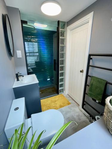 a bathroom with a toilet and a sink at Globe Cottage in Glastonbury