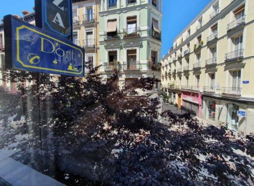 Plaza Dort Rooms I
