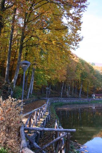 Gallery image of Hotel La Croce in Abbadia San Salvatore