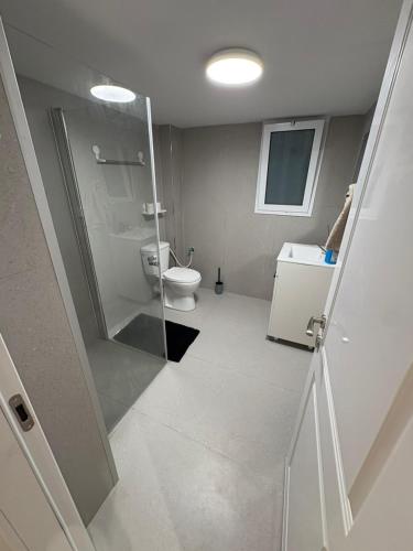 Bilik mandi di Ussishkin Penthouse