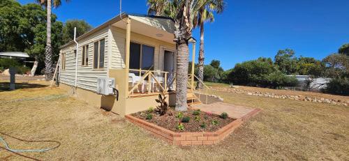 a small house with a palm tree in a yard at Drummond Cove Holiday Park in Drummond Cove
