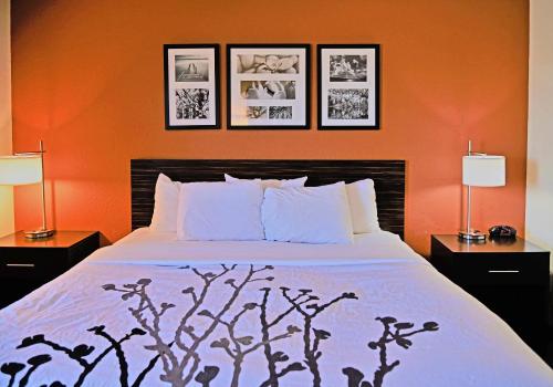 a bedroom with a bed with three pictures on the wall at Sleep Inn & Suites Spring Lake - Fayetteville near Fort Bragg in Spring Lake