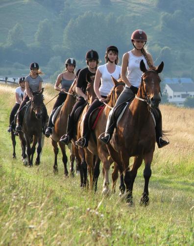 a group of people riding horses in a field at Domek Kozacki in Łukowe