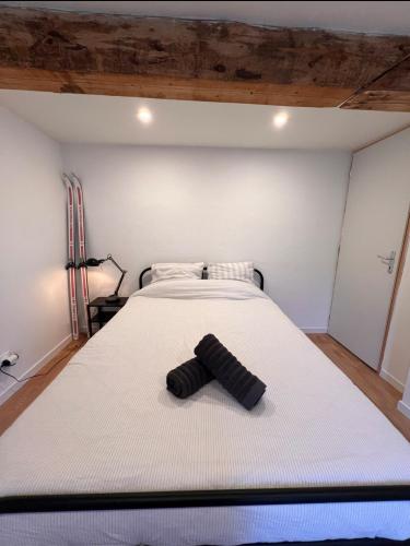a bedroom with a bed with a black tube on it at Chalet 184 - Lans en Vercors in Lans-en-Vercors