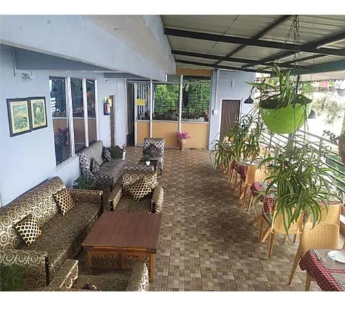 Un vestíbulo con sofás, mesas y plantas en macetas. en Aura Homes, en Gangtok