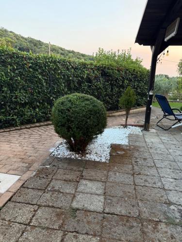 a bush and a chair on a patio at Villa Agavi in Formia