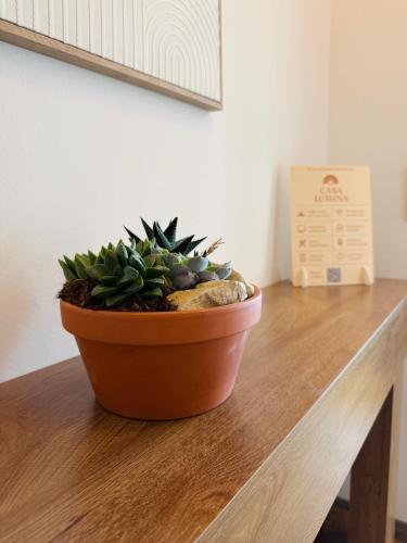a potted plant sitting on top of a wooden table at Casa Lumina - Stilvolles Apartment mit Herz in Schweinfurt