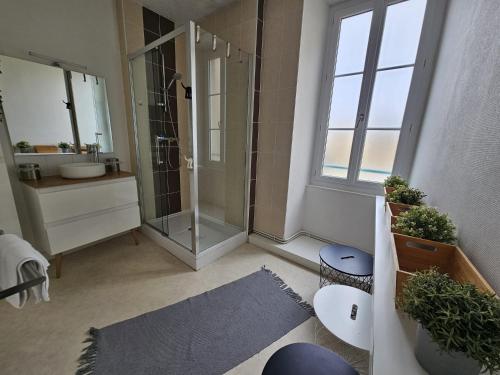 a bathroom with a shower and a sink at Chez Sandrine in Angoulême