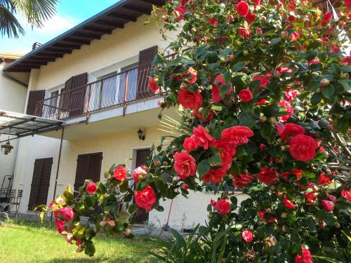 een bos van rode rozen voor een huis bij Appartamento Ibisco in Porto Valtravaglia