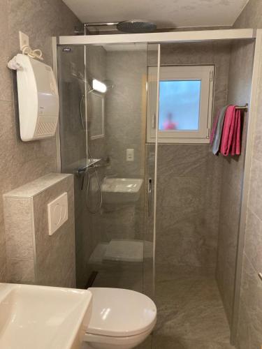 a bathroom with a shower and a toilet and a sink at Ferienwohnung Morgengruss in Sankt Niklaus