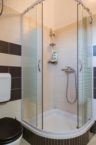 a bathroom with a shower and a toilet at Apartment Vanilla in Borovići