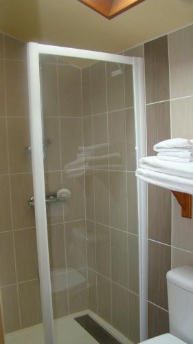 une douche avec une porte vitrée dans une salle de bain dans l'établissement Chambres d'hotes DES GRAVES, à La Celle-sous-Gouzon