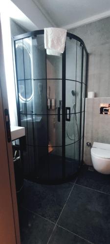 a glass shower in a bathroom with a toilet at OTTO X Hotel in Kavaklıdere