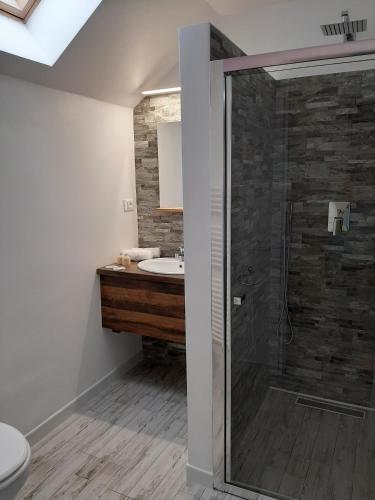 a bathroom with a shower and a sink at Casa Evelin in Turda