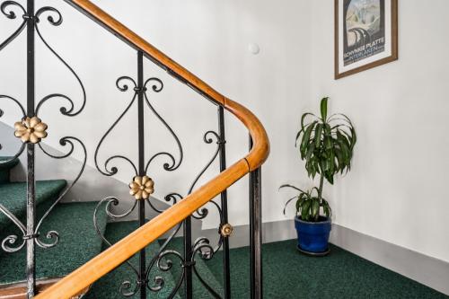 a staircase with a potted plant in a room at Hotel Sonne Interlaken-Matten in Interlaken