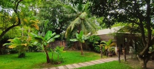 a garden with trees and a house with a lawn at Banksy's Siem Reap in Phumĭ Réach Born