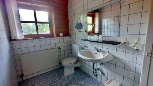a bathroom with a toilet and a sink at FerienFleckl in Warmensteinach