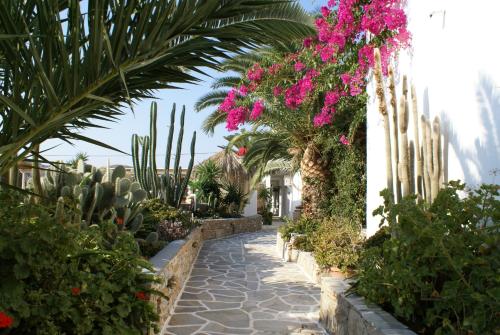 Gallery image of Corali Beach Hotel in Ios Chora
