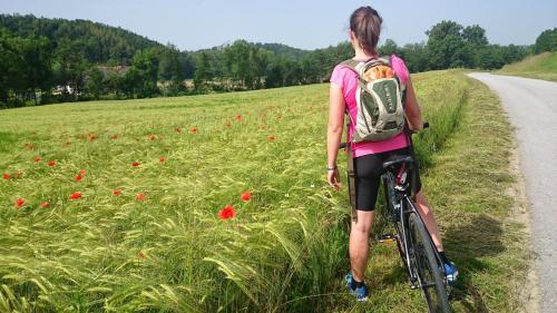 a person with a backpack walking a bike in a field at Malerwinkl Restaurant + Kunsthotel in Hatzendorf