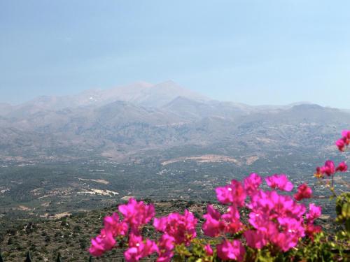 a view of mountains with pink flowers in the foreground at Cottage in Pasalites near Mount Psiloritis in Pasalítai