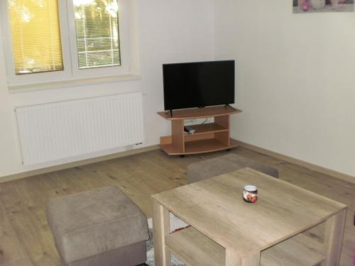a living room with a tv and a coffee table at Apartmány Eva Frymburk in Frymburk
