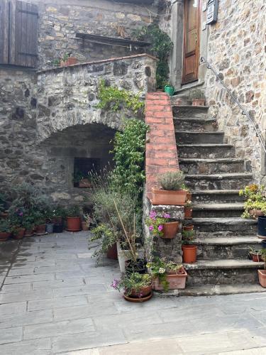 a set of stairs with potted plants in front of a building at Case Apuane in Minucciano
