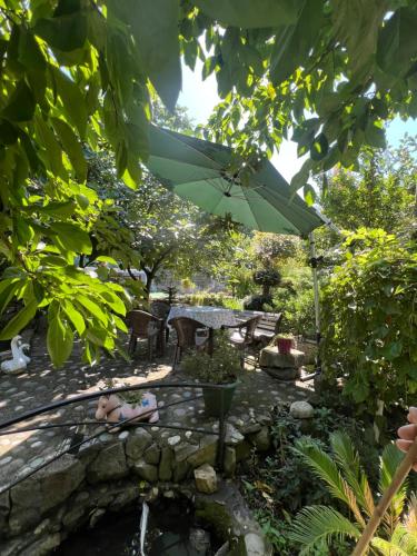 Gallery image of Holiday House Chkonia in Batumi