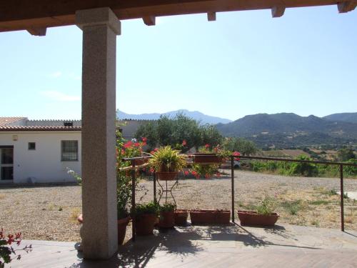 a view from the patio of a house with potted plants at Agriturismo Locoe in Oliena