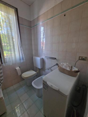 a small bathroom with a toilet and a sink at Il Glicine di Marco Polo in Cavallino-Treporti